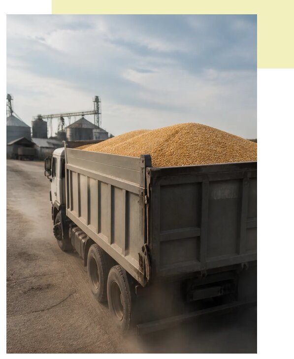 Перевозка сельхозпродукции навалом в Чапаевск по цене от 3065 р. | Агросервис-Чпв